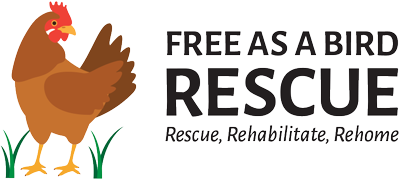 Free As a Bird Rescue – We Rescue, Rehabilitate & Rehome